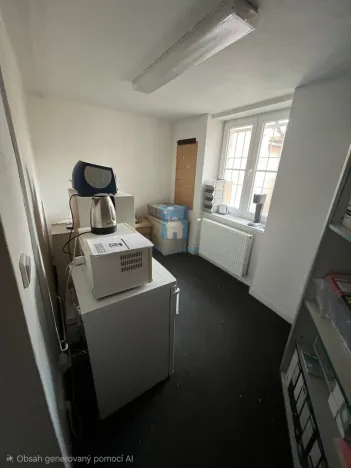 Pronájem obchodního prostoru, Domažlice, Husova třída, 285 m2