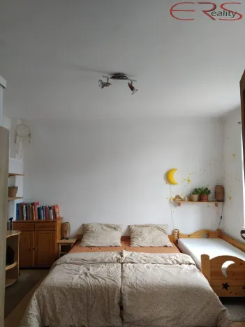 Prodej rodinného domu, Janov nad Nisou, 250 m2