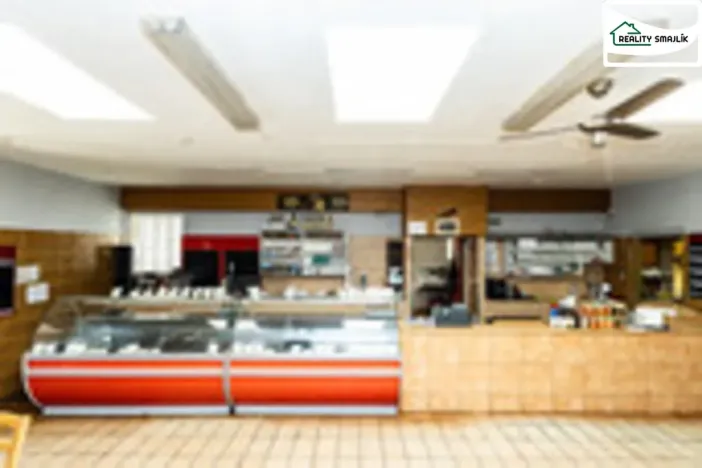 Pronájem obchodního prostoru, Cheb, Wolkerova, 267 m2