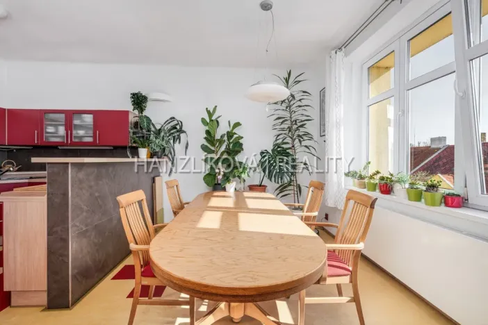 Prodej bytu 4+kk, České Budějovice - České Budějovice 6, M. Vydrové, 143 m2