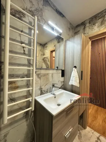 Prodej bytu 1+kk, Opava - Kateřinky, Grudova, 21 m2