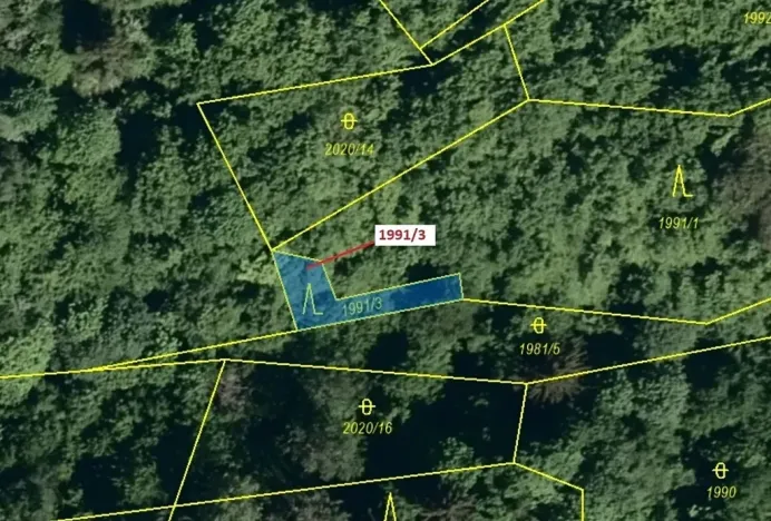 Dražba lesa, Hovězí, 115 m2