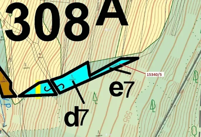 Dražba lesa, Hovězí, 312 m2