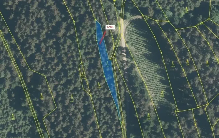 Dražba lesa, Lačnov, 849 m2