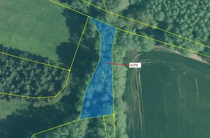 Dražba lesa, Kuřimany, 875 m2