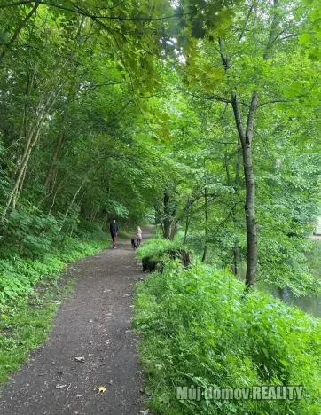 Pronájem bytu 1+kk, Praha - Vysočany, Kabešova, 37 m2