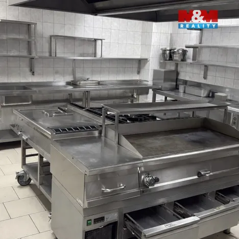 Pronájem restaurace, Olomouc, Riegrova, 250 m2