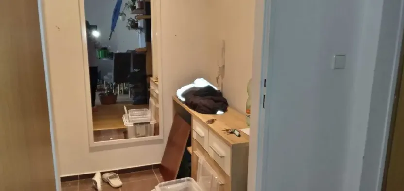 Pronájem bytu 3+kk, Děčín - Děčín IV-Podmokly, Palackého, 75 m2