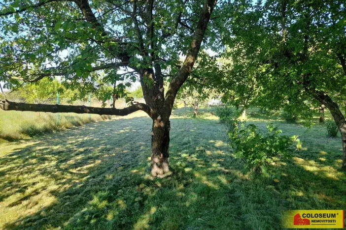 Pronájem zahrady, Vilémovice, 1504 m2