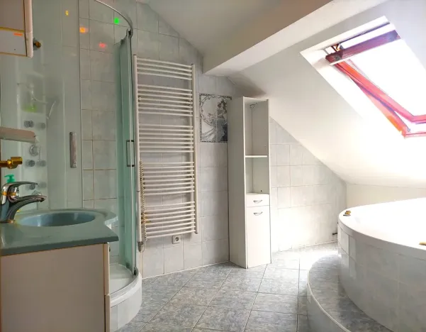 Pronájem bytu 3+1, Ostrava, Daliborova, 160 m2