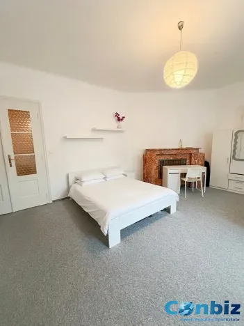 Pronájem bytu 2+1, Brno, Smetanova, 101 m2