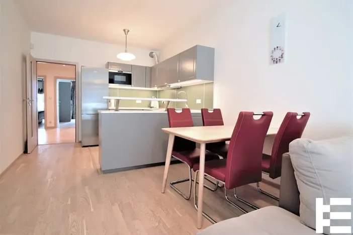 Pronájem bytu 4+kk, Praha - Žižkov, Olšanská, 107 m2