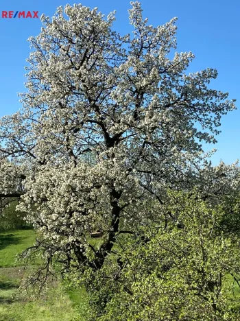 Prodej zahrady, Výčapy, 1968 m2