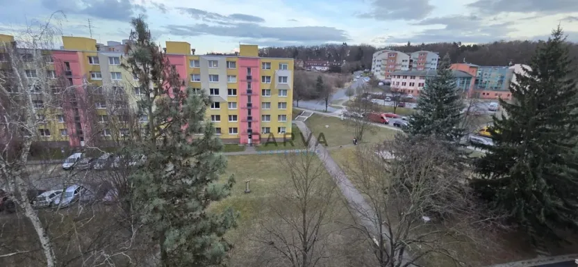 Pronájem bytu 1+kk, Plzeň - Doubravka, Popelnicová, 20 m2