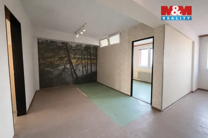 Prodej bytu 2+1, Kolín - Kolín III, Žižkova, 62 m2