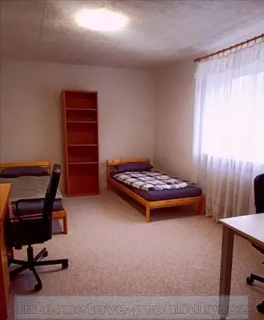Pronájem pokoje, Praha - Dejvice, Pod Mlýnkem, 23 m2