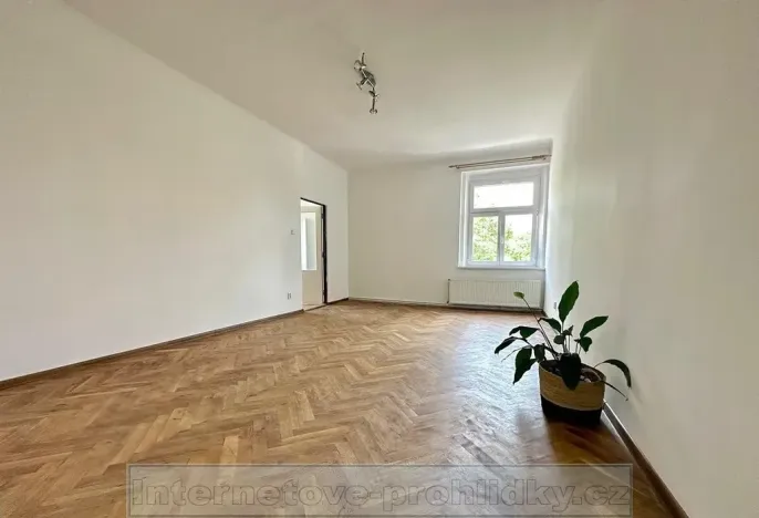 Pronájem bytu 1+1, Praha - Žižkov, Křivá, 72 m2