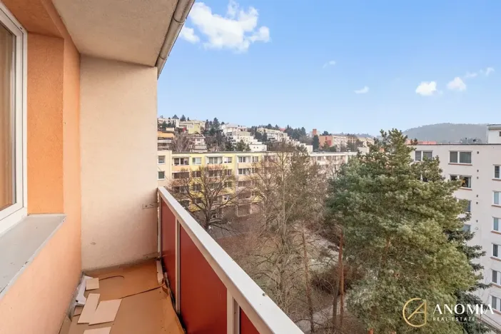 Pronájem bytu 1+1, Brno, Vavřinecká, 35 m2