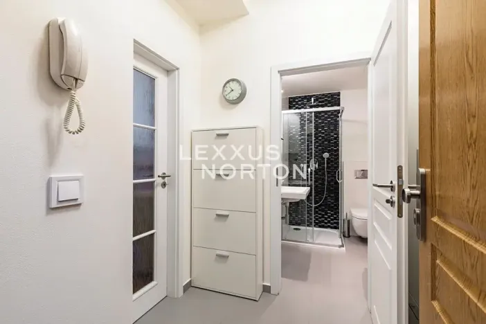 Pronájem bytu 1+kk, Praha - Žižkov, Ondříčkova, 31 m2