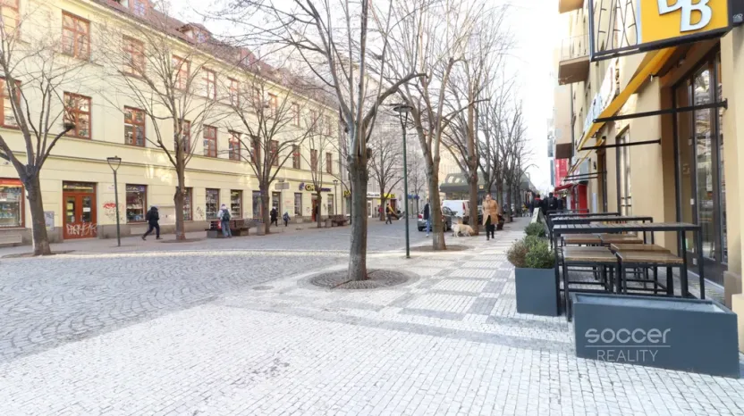 Pronájem bytu 2+kk, Praha - Karlín, Thámova, 55 m2