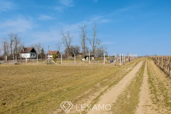 Pronájem zahrady, Vrbovec, 1217 m2