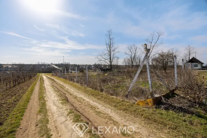 Pronájem zahrady, Vrbovec, 1217 m2