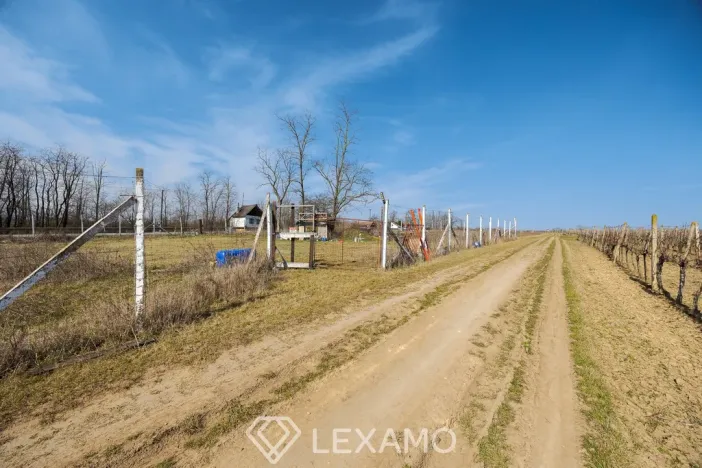 Pronájem zahrady, Vrbovec, 1217 m2