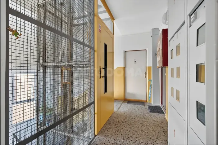 Pronájem bytu 2+1, Plzeň, Elišky Krásnohorské, 60 m2