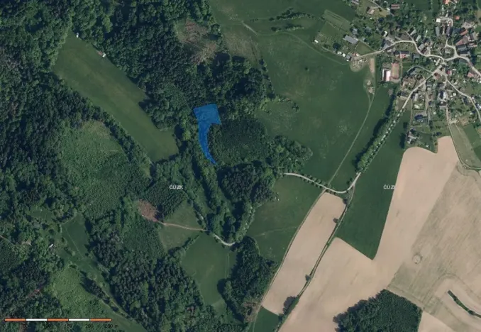 Dražba lesa, Záhoří, 3816 m2