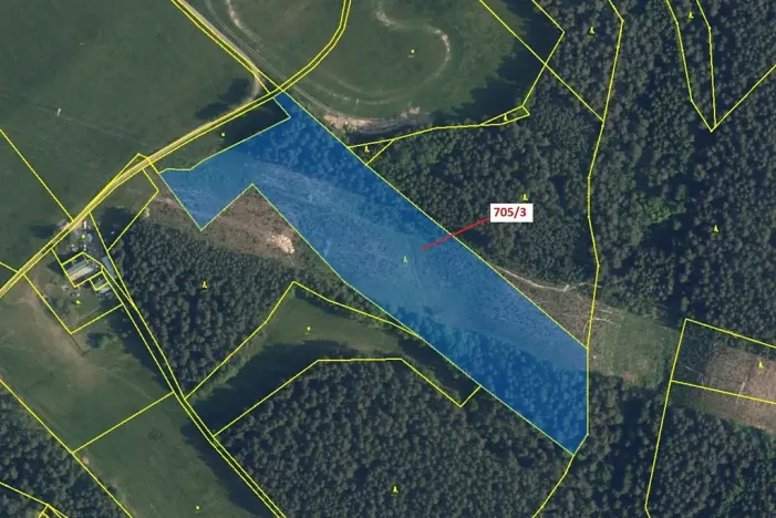 Dražba lesa, Janův Důl, 27787 m2