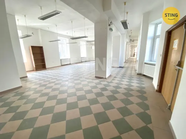 Pronájem obchodního prostoru, Opava, sady Svobody, 270 m2