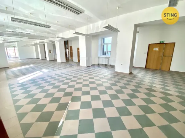 Pronájem obchodního prostoru, Opava, sady Svobody, 270 m2