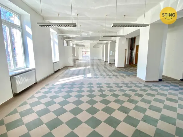 Pronájem obchodního prostoru, Opava, sady Svobody, 270 m2