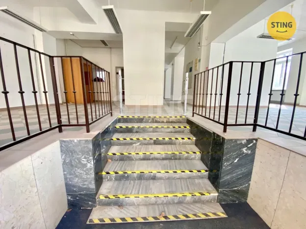 Pronájem obchodního prostoru, Opava, sady Svobody, 270 m2