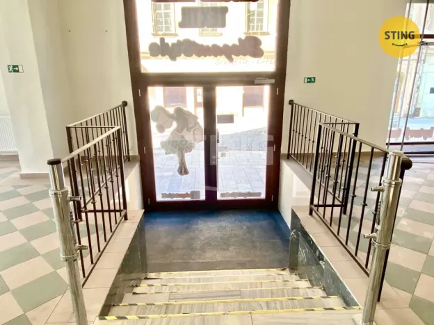 Pronájem obchodního prostoru, Opava, sady Svobody, 270 m2