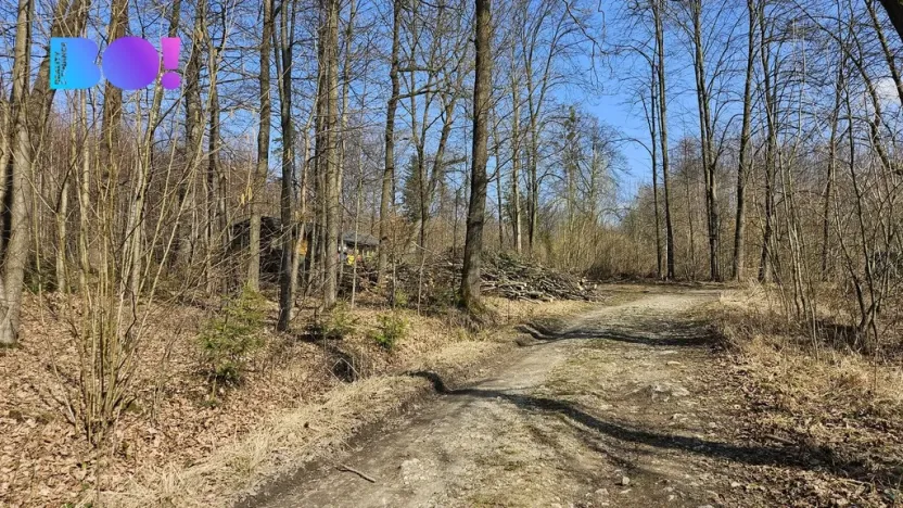 Prodej lesa, Rybí, 55558 m2
