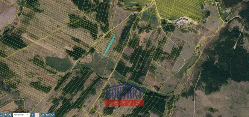 Prodej lesa, Opatov, 11455 m2