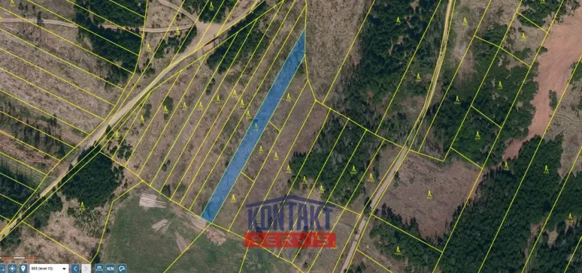 Prodej lesa, Opatov, 11455 m2