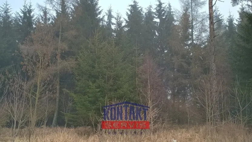 Prodej lesa, Opatov, 11455 m2