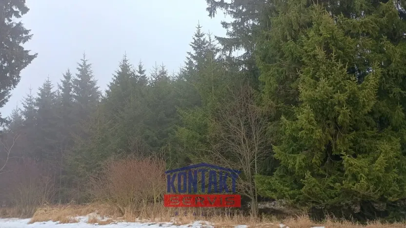 Prodej lesa, Opatov, 11455 m2