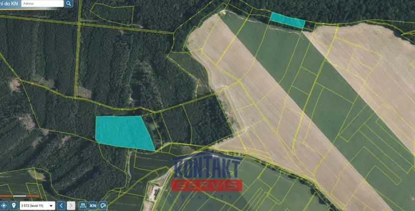 Prodej lesa, Bačalky - Lično, 32004 m2