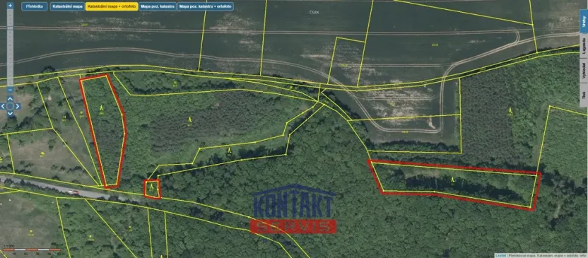 Prodej lesa, Bačalky - Lično, 32004 m2