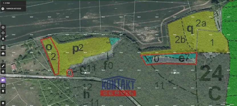 Prodej lesa, Bačalky - Lično, 32004 m2