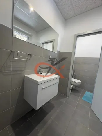 Pronájem bytu 2+kk, Rožnov pod Radhoštěm, 1. máje, 120 m2