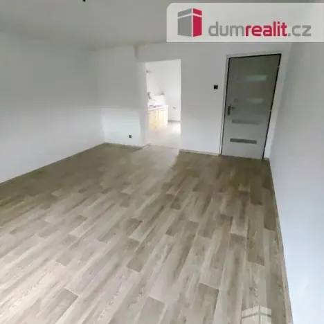 Pronájem bytu 1+1, Děčín - Děčín II-Nové Město, Kamenická, 42 m2