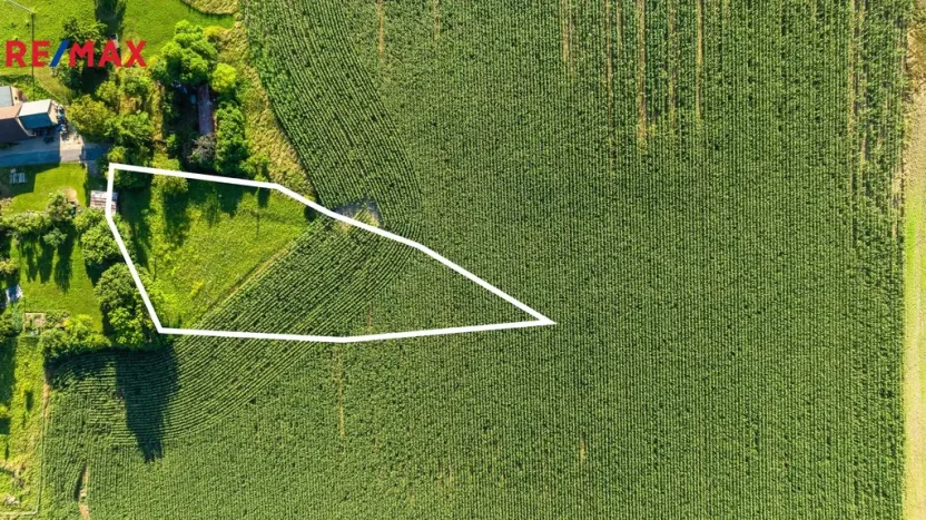 Prodej pozemku pro bydlení, Bačalky, 5076 m2