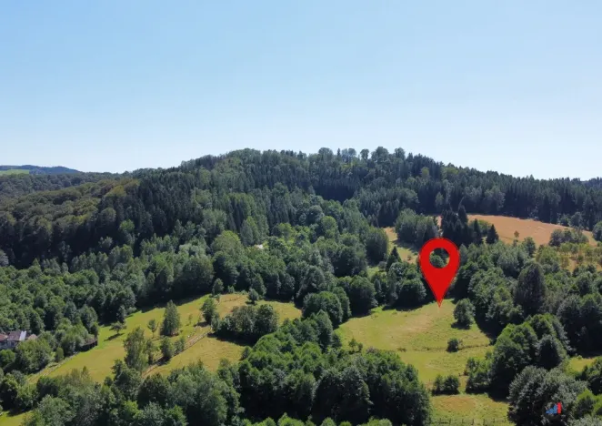 Prodej pozemku pro bydlení, Olešnice v Orlických horách, 3446 m2