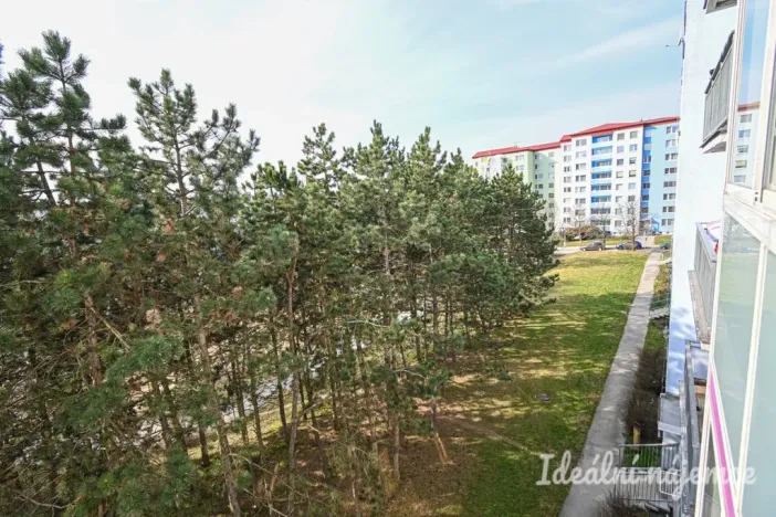 Pronájem bytu 3+1, Brno, Zikova, 74 m2