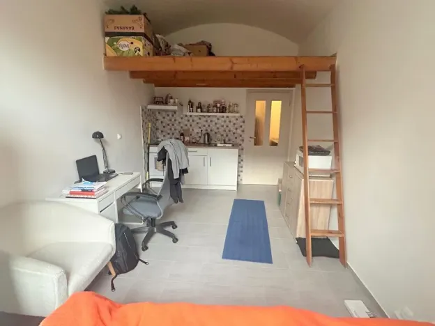 Pronájem bytu 1+kk, Praha - Smíchov, Zoubkova, 28 m2