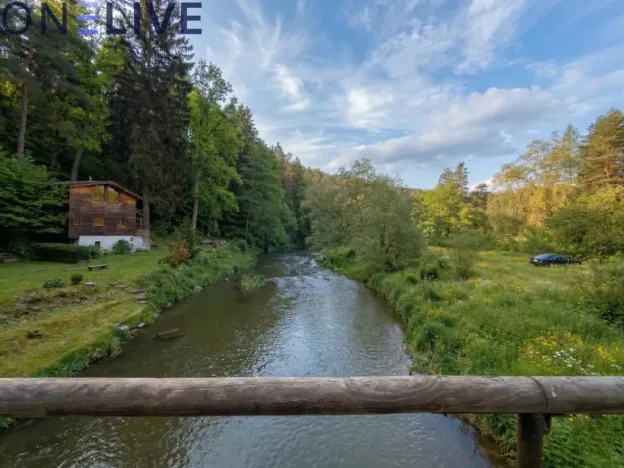 Prodej zahrady, Plasy, 2517 m2